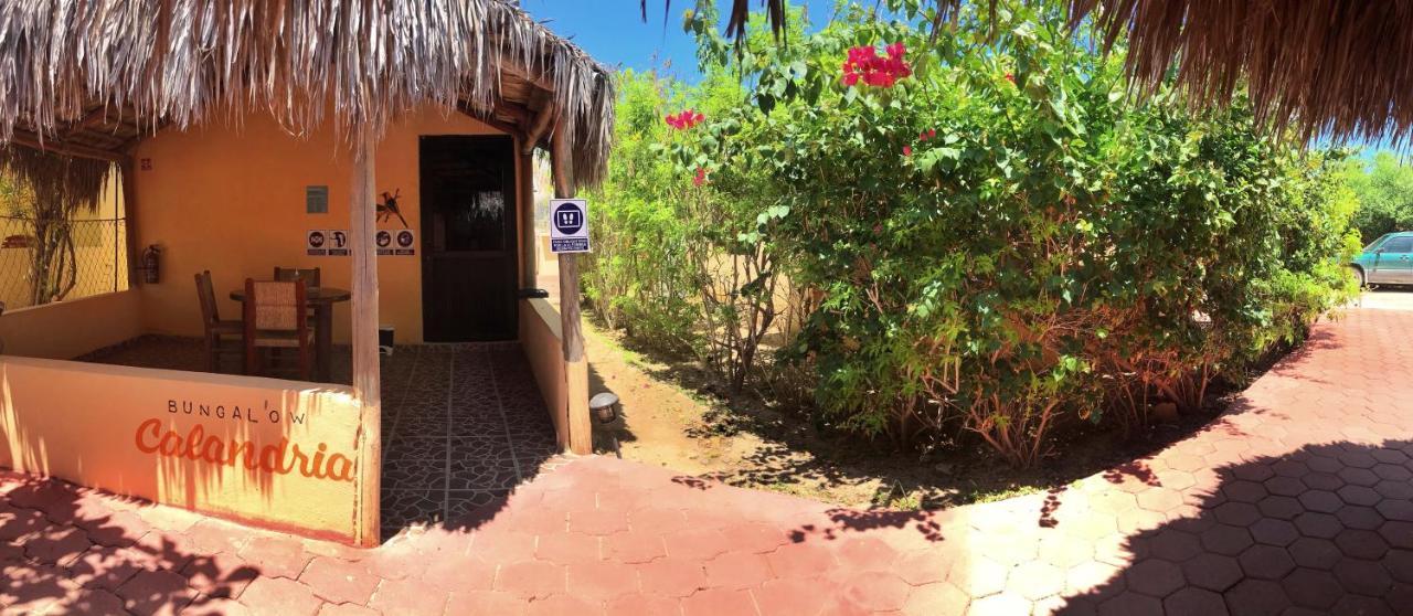 Bungalows Cabo Pulmo Exterior photo
