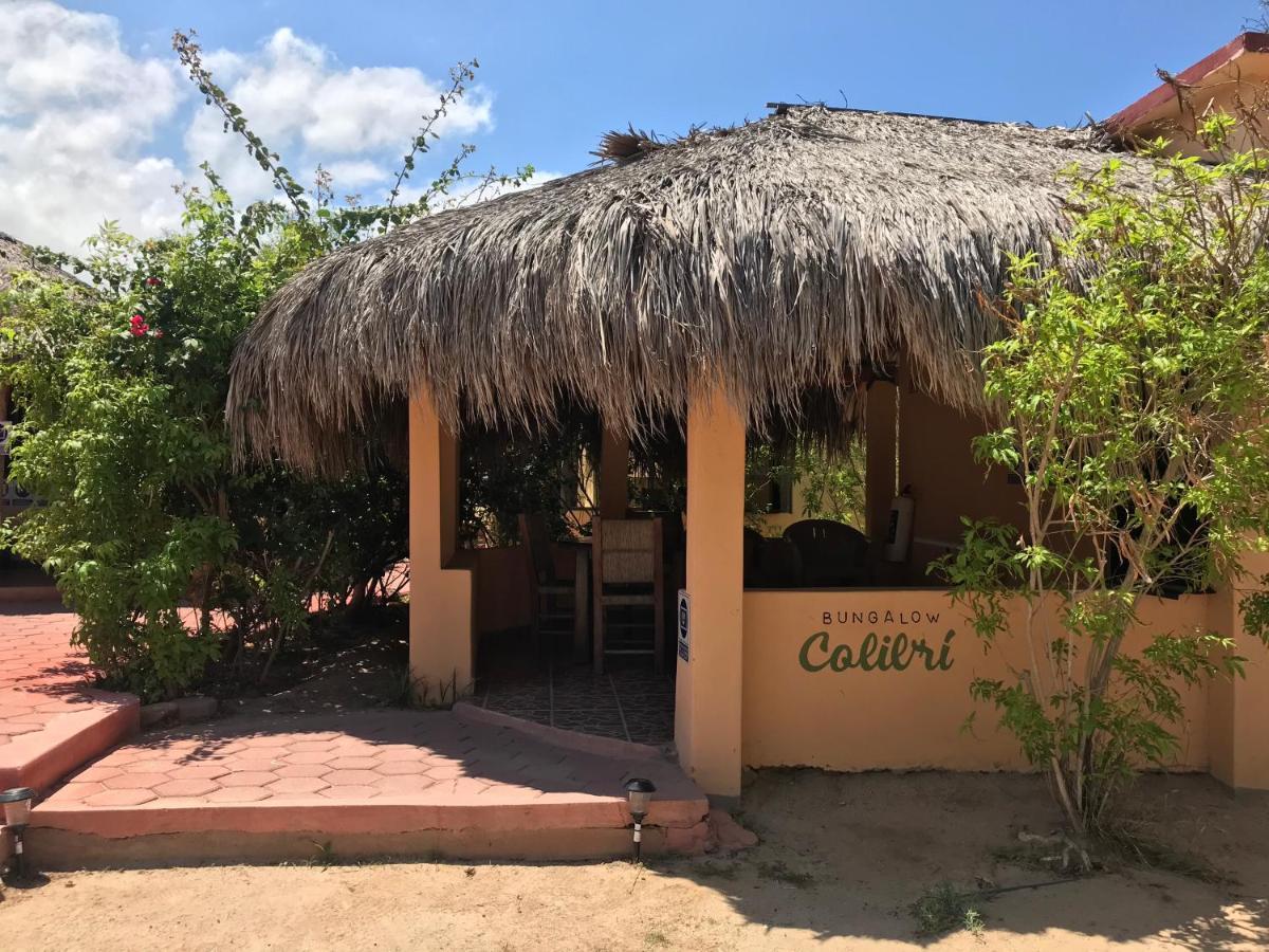 Bungalows Cabo Pulmo Exterior photo