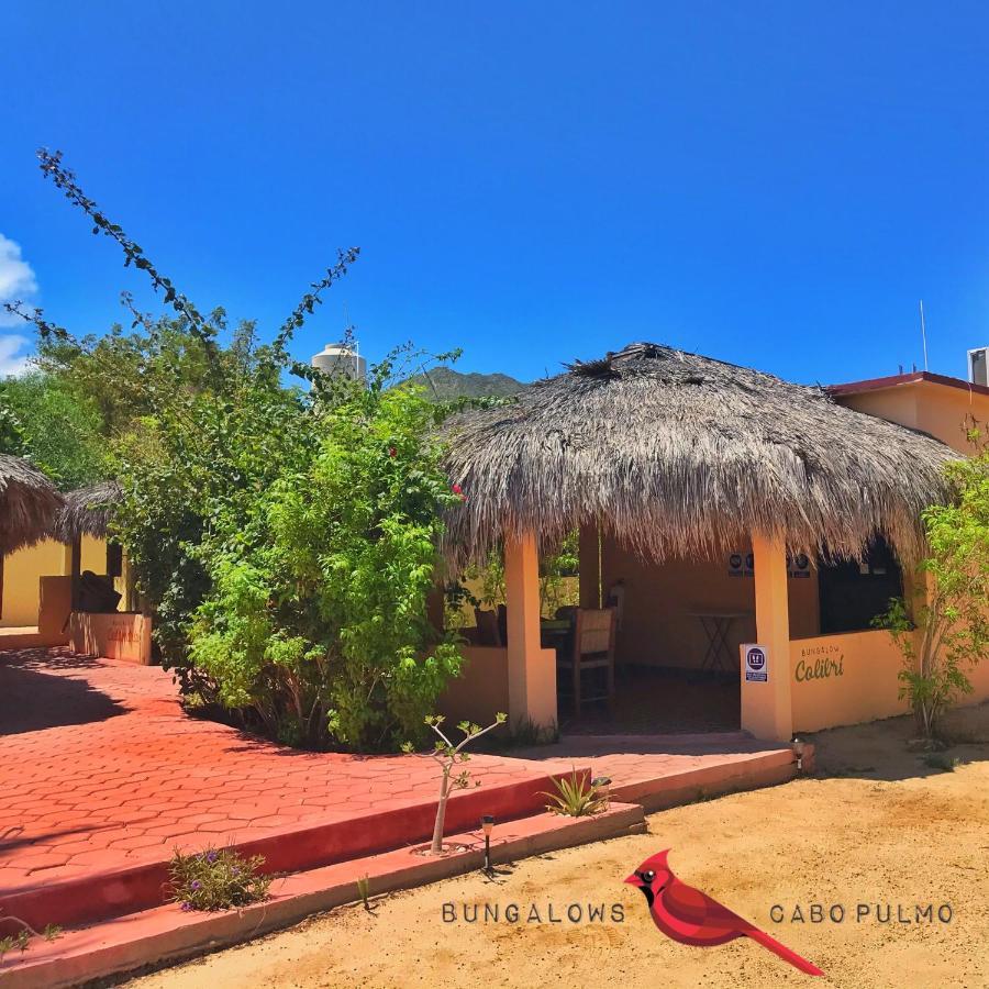 Bungalows Cabo Pulmo Exterior photo