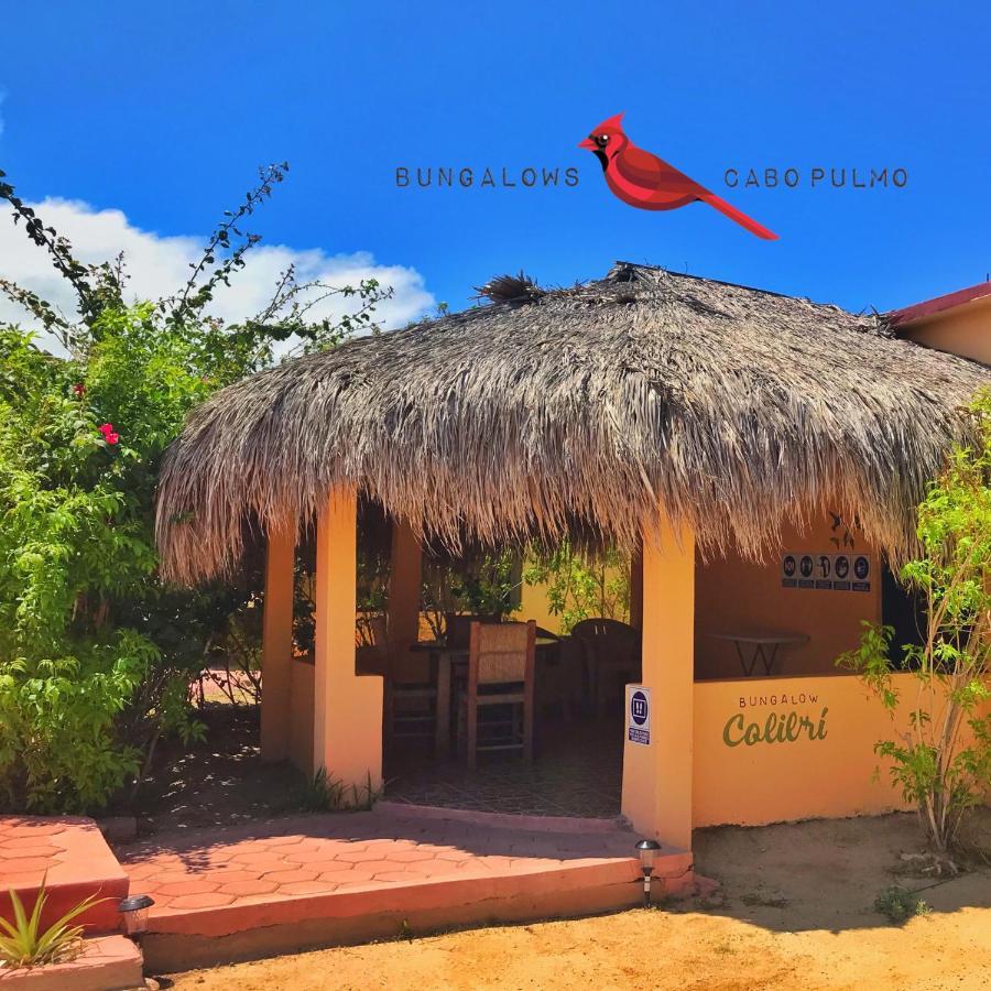 Bungalows Cabo Pulmo Exterior photo