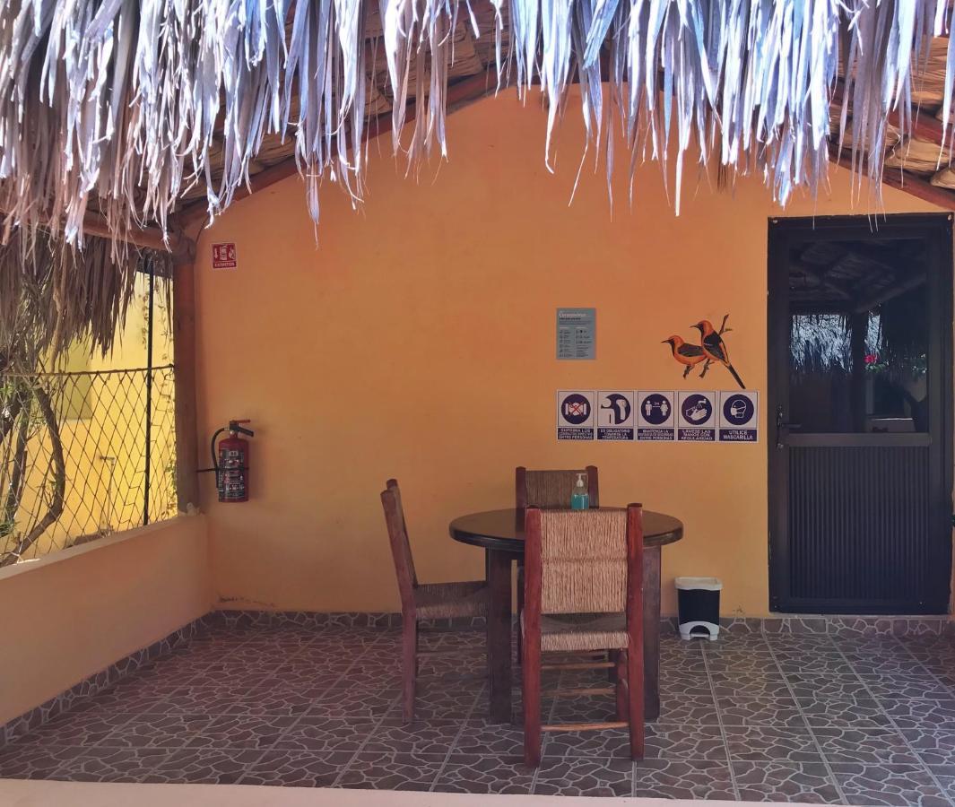 Bungalows Cabo Pulmo Exterior photo