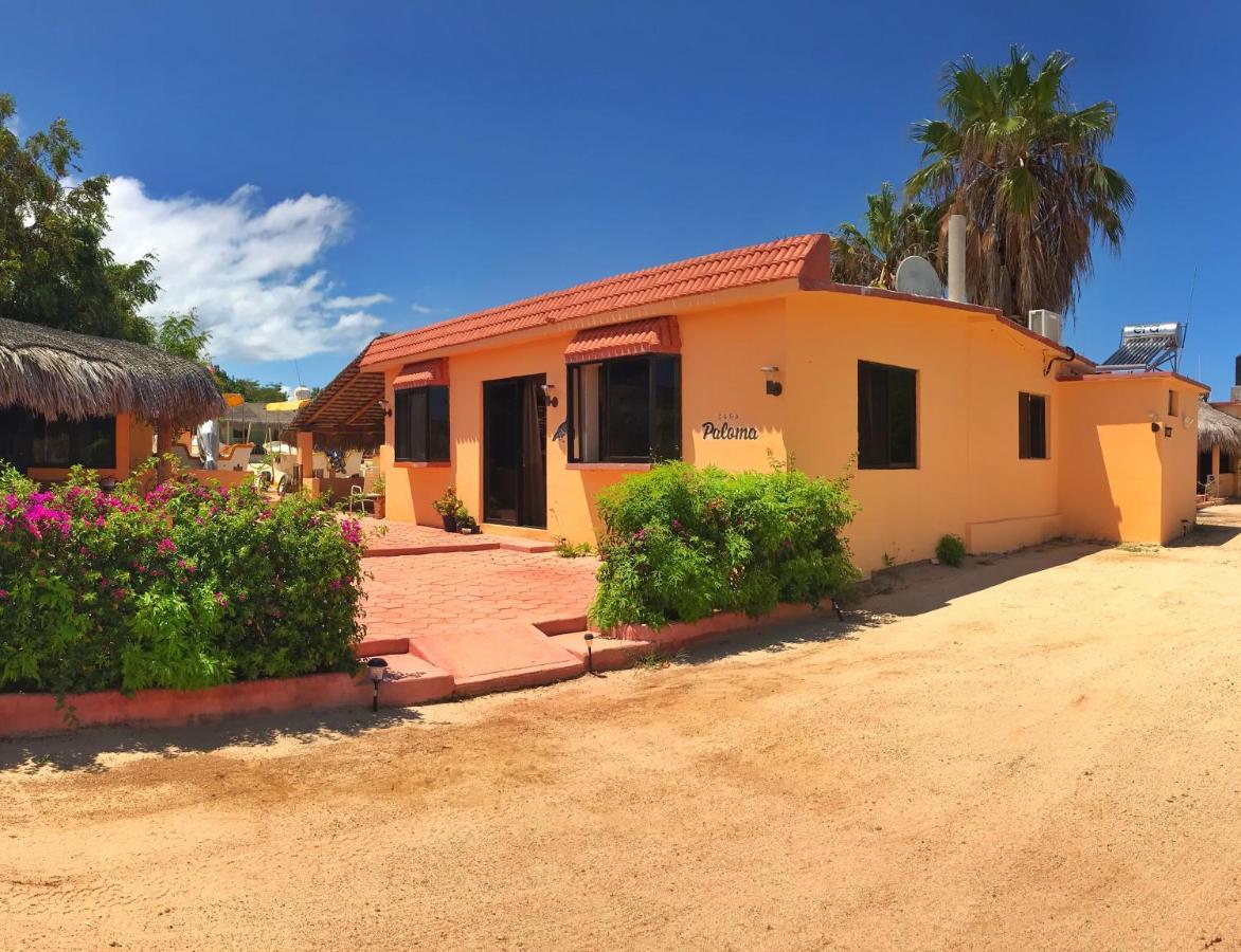 Bungalows Cabo Pulmo Exterior photo