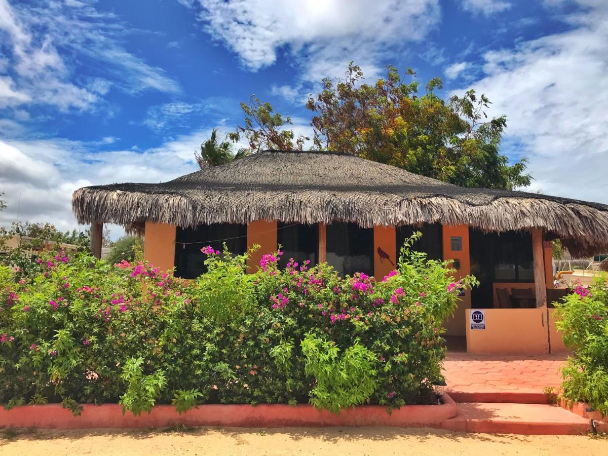 Bungalows Cabo Pulmo Exterior photo