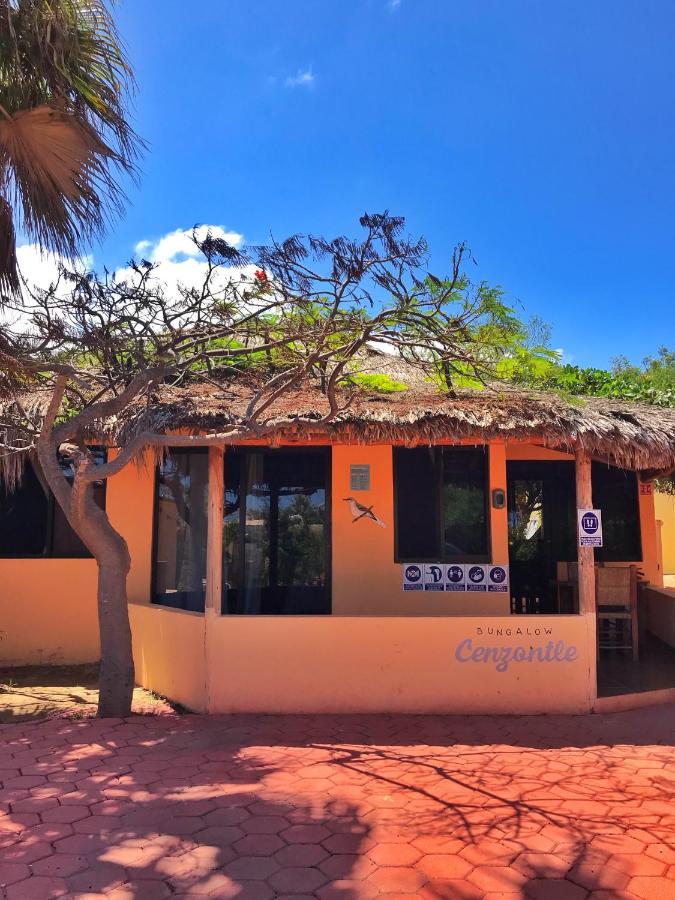 Bungalows Cabo Pulmo Exterior photo