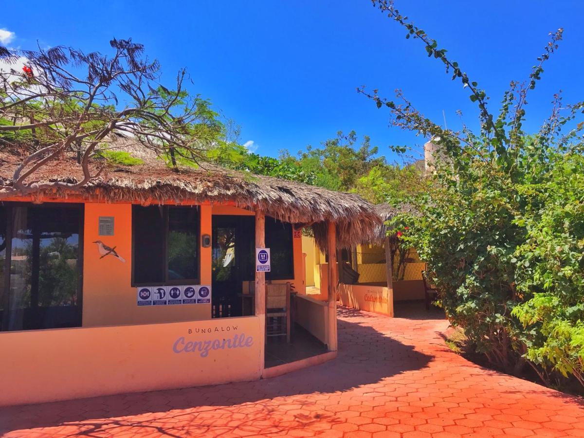 Bungalows Cabo Pulmo Exterior photo